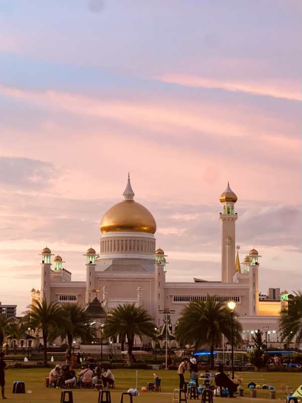 243.（文莱）Ting Sing Ping Andelin《Welcome to Brunei》.jpg